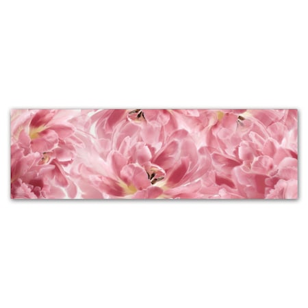 Cora Niele 'Pink Tulips Scape' Canvas Art,8x24